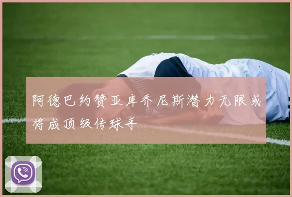 阿德巴约赞亚库乔尼斯潜力无限或将成顶级传球手