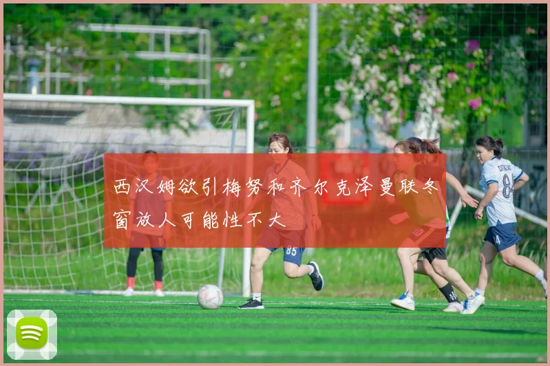 西汉姆欲引梅努和齐尔克泽曼联冬窗放人可能性不大