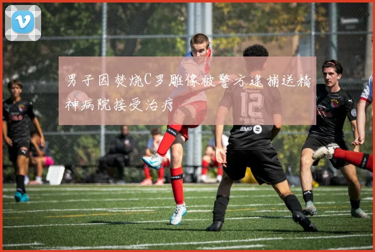 男子因焚烧C罗雕像被警方逮捕送精神病院接受治疗