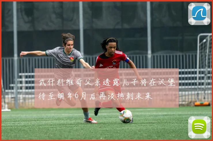 武什科维奇父亲透露儿子将在汉堡待至明年6月后再谈热刺未来